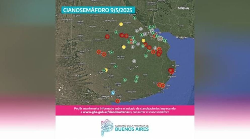 Chacabuco en alerta roja por Cianobacterias