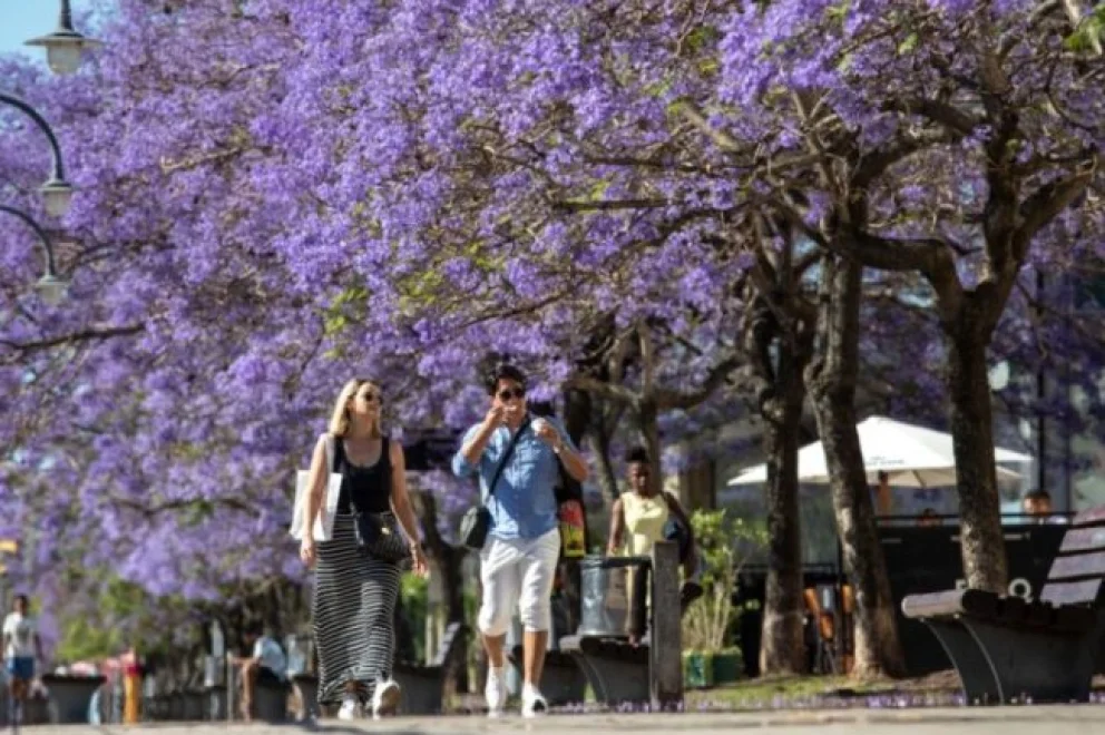 Clima en el AMBA: máxima de 28 grados para este fin de semana