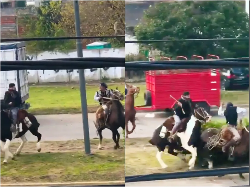 Desfile patrio en Berazategui terminó con pelea a rebencazos entre jinetes