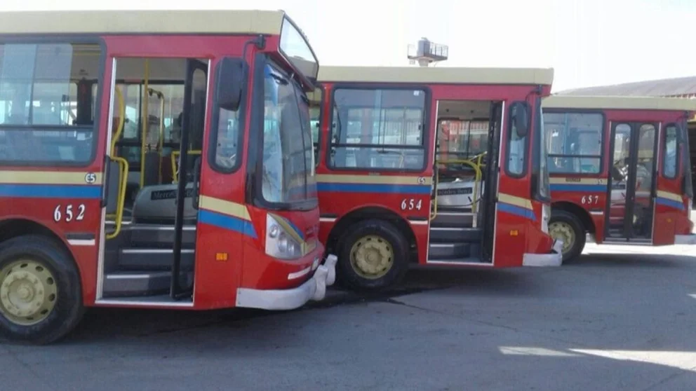 Cómo será el nuevo sistema de transporte público en Moreno: más empresas, más conexiones y más frecuencias