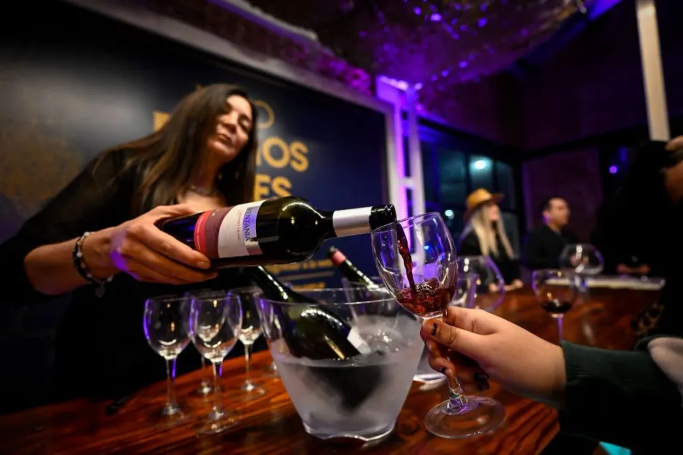 Malvinas Argentinas realizó el 9º Encuentro de Productores Vitivinícolas de la Provincia de Buenos Aires