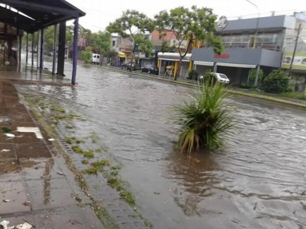 Crecen los reclamos contra Selci por el avance del cemento y el riesgo de inundaciones